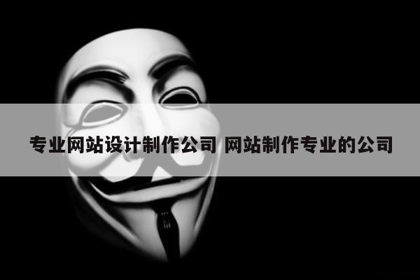 专业网站设计制作公司 网站制作专业的公司