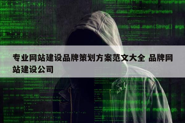 专业网站建设品牌策划方案范文大全 品牌网站建设公司