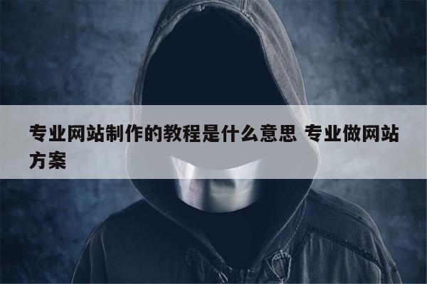 专业网站制作的教程是什么意思 专业做网站方案