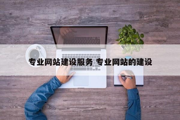 专业网站建设服务 专业网站的建设