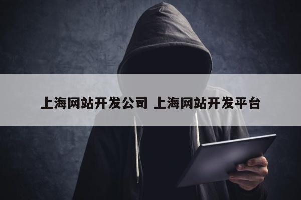上海网站开发公司 上海网站开发平台