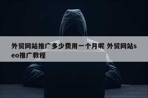 外贸网站推广多少费用一个月呢 外贸网站seo推广教程