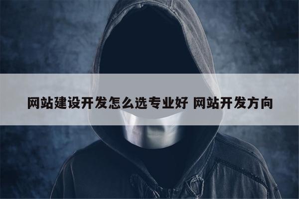 网站建设开发怎么选专业好 网站开发方向