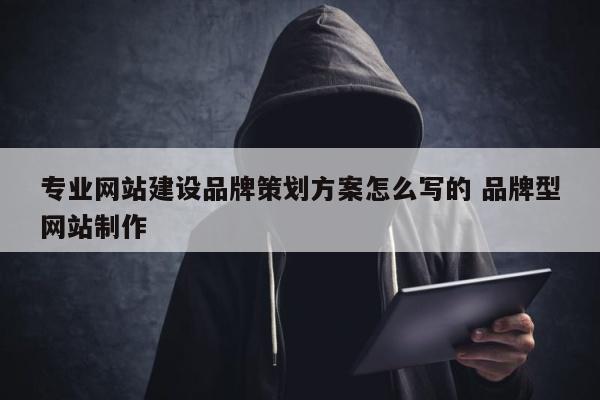 专业网站建设品牌策划方案怎么写的 品牌型网站制作
