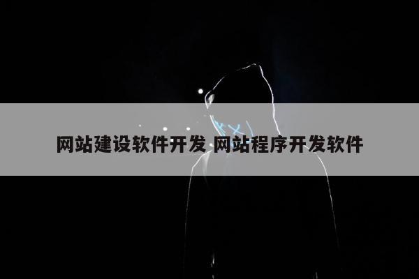网站建设软件开发 网站程序开发软件